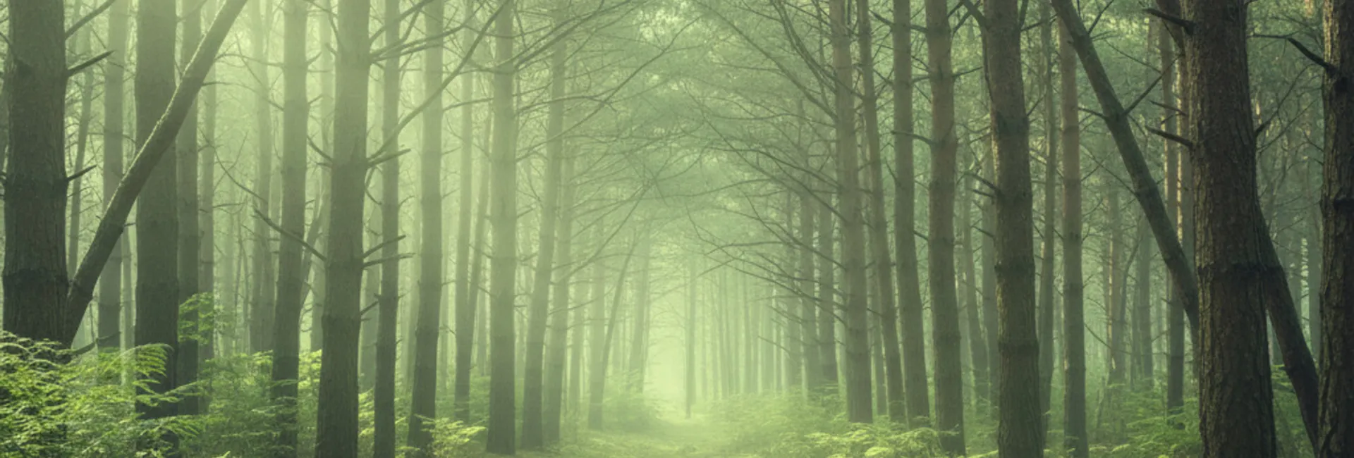 CRYSTALITE Emergency Lighting Systems